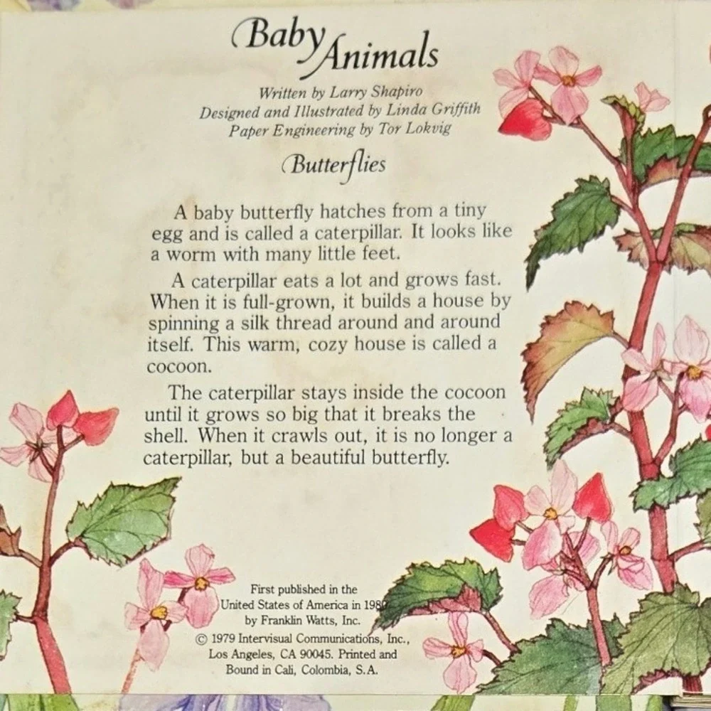 N/A baby animals